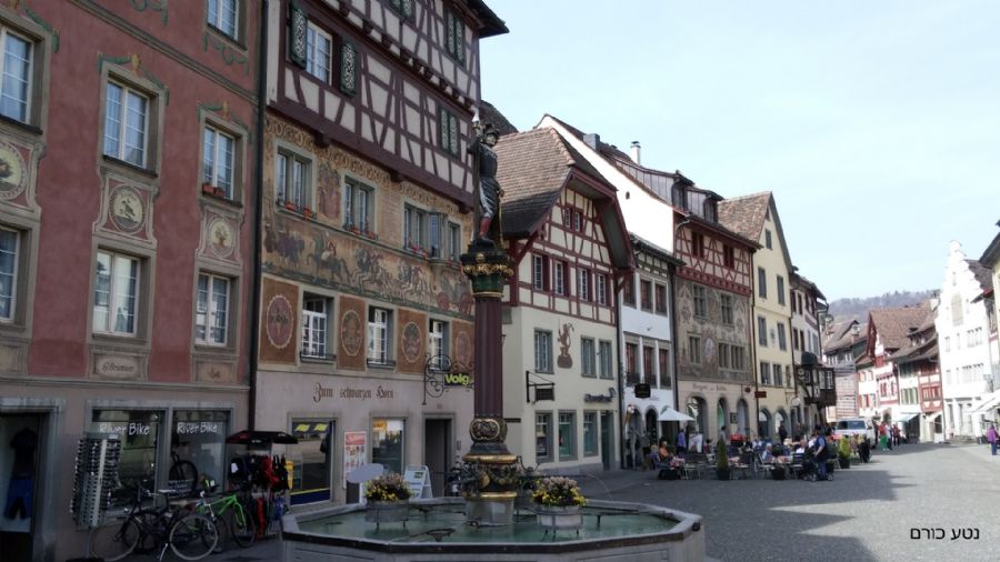 שטיין אם ריין